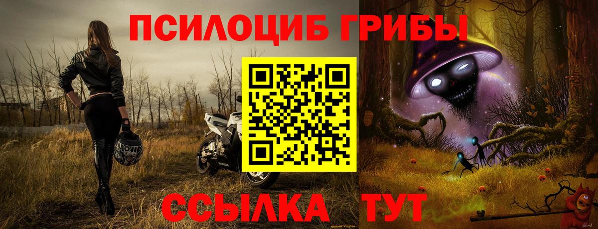 Псилоцибиновые грибы GOLDEN TEACHER Якутск